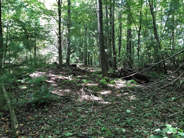 TBD Maines Hill Ln, Scottville, NC 28663 - photo 22