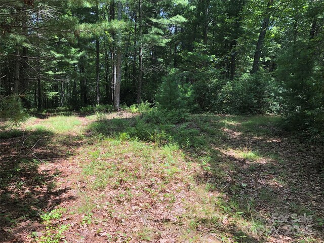 TBD Maines Hill Ln, Scottville, NC 28663 - photo 29