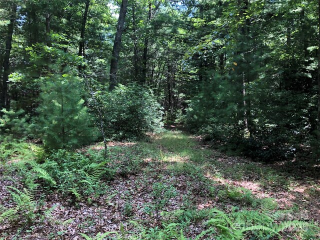 TBD Maines Hill Ln, Scottville, NC 28663 - photo 30