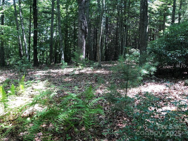 TBD Maines Hill Ln, Scottville, NC 28663 - photo 34