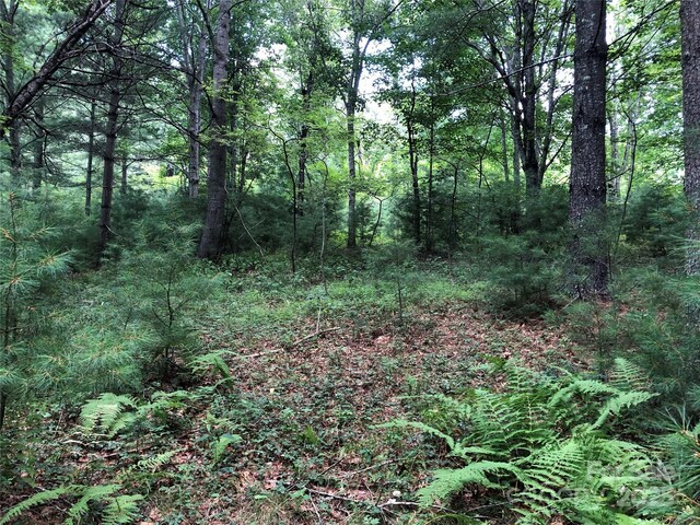 TBD Maines Hill Ln, Scottville, NC 28663 - photo 47