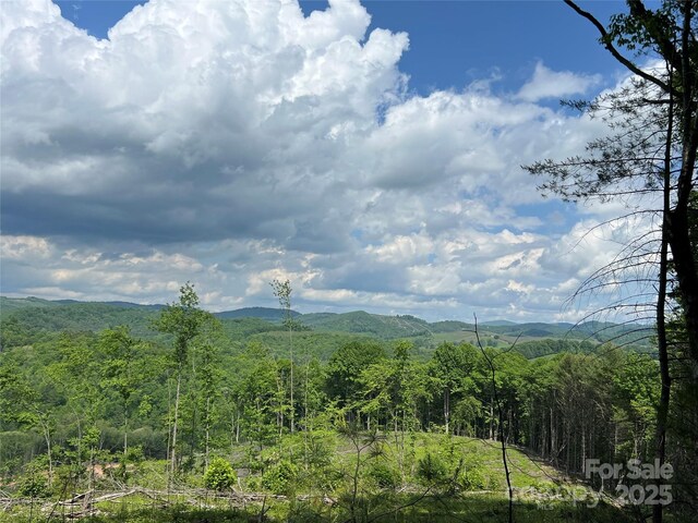 TBD Maines Hill Ln, Scottville, NC 28663 - photo 48