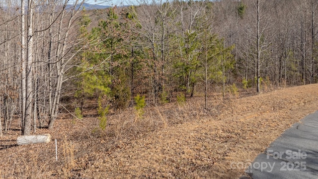 Listing photo 2 for TBD Coal Pit Mountain Rd, Nebo NC 28761