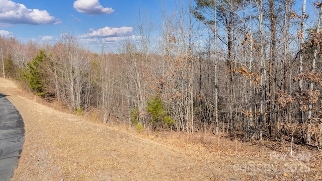 Listing photo 3 for TBD Coal Pit Mountain Rd, Nebo NC 28761