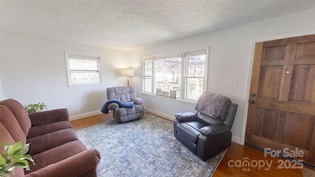 living area featuring hardwood / wood-style floors and a textured ceiling