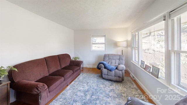 living room featuring hardwood / wood-style floors