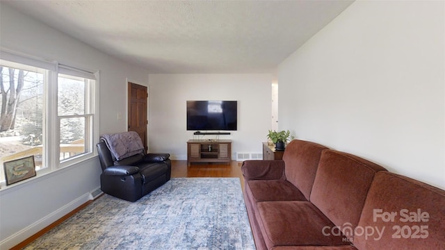 living room with wood-type flooring