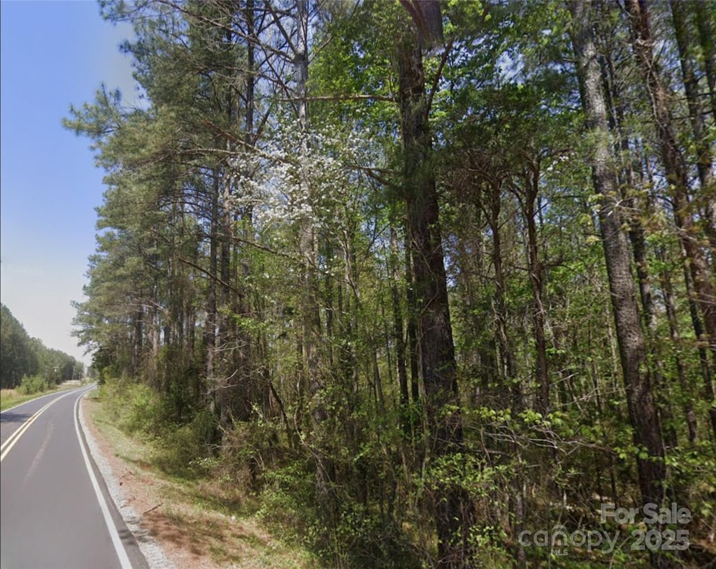 999 Pearidge Rd Unit 3, Bostic, NC 28018 - photo 1