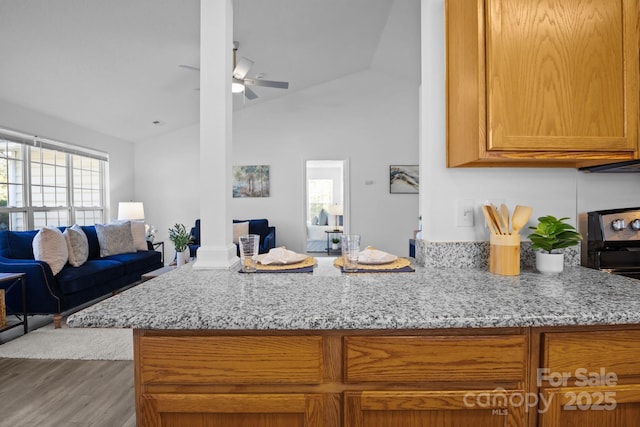 kitchen featuring dark hardwood / wood-style flooring, ceiling fan, vaulted ceiling, and light stone counters