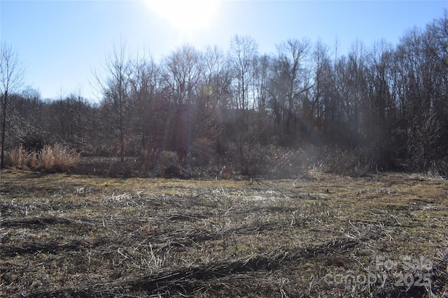 Listing photo 2 for 0 Prince Rd Lot 4, Columbus NC 28722