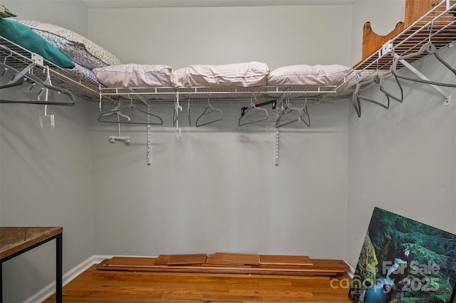 spacious closet featuring hardwood / wood-style floors