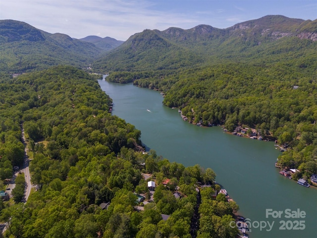 drone / aerial view with a water and mountain view