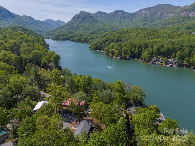 bird's eye view featuring a water and mountain view