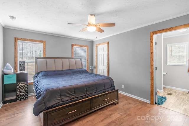 bedroom with multiple windows, light hardwood / wood-style flooring, ornamental molding, and a textured ceiling