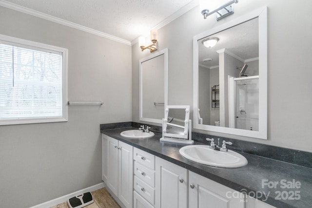 bathroom with vanity, crown molding, a textured ceiling, and walk in shower