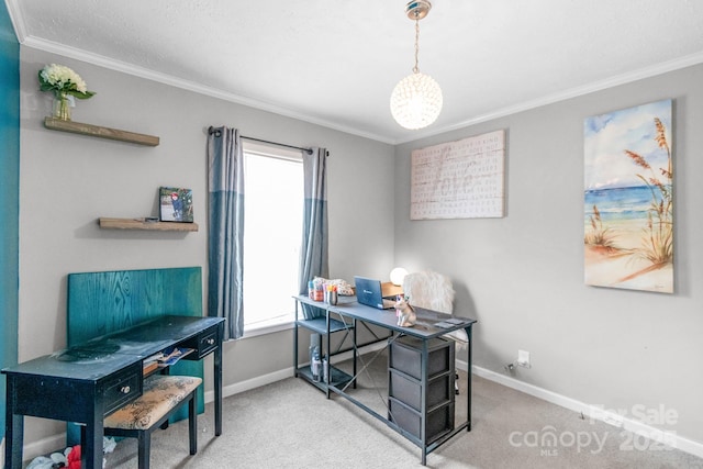 office featuring crown molding and carpet floors