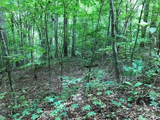 00 Red Oak Ln N Lot # 24, Burnsville, NC 28714 - photo 2