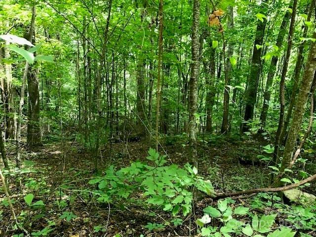00 Red Oak Ln N Lot # 24, Burnsville, NC 28714 - photo 3