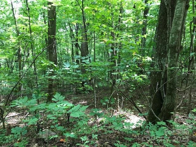 00 Red Oak Ln N Lot # 24, Burnsville, NC 28714 - photo 4