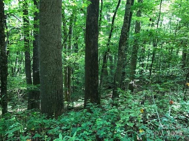 00 Red Oak Ln N Lot # 24, Burnsville, NC 28714 - photo 6