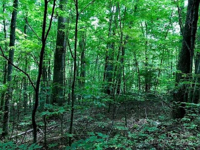 00 Red Oak Ln N Lot # 24, Burnsville, NC 28714 - photo 7
