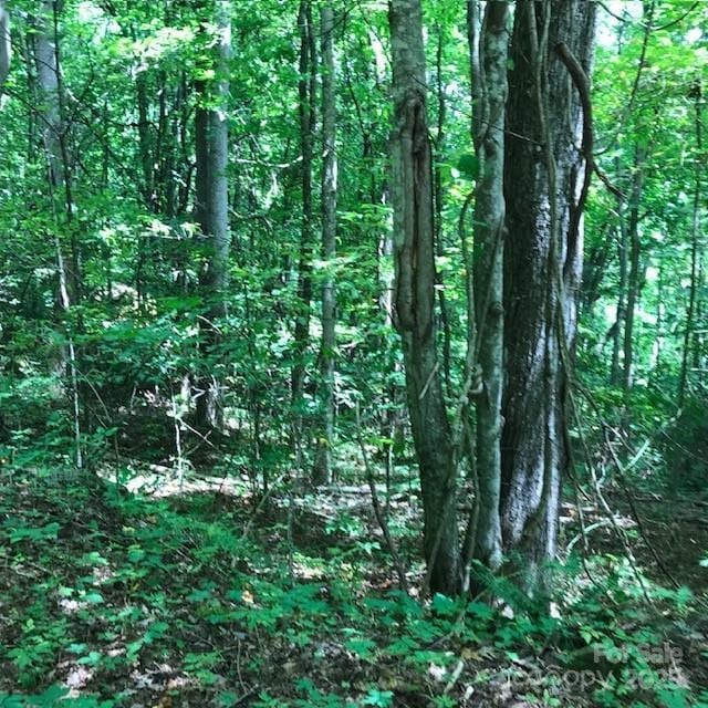 00 Red Oak Ln N Lot # 24, Burnsville, NC 28714 - photo 10