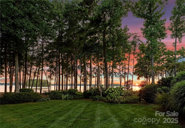 view of community featuring a water view and a lawn