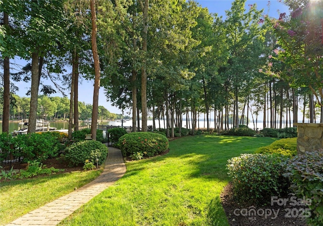 155 Union Chapel Dr, Mooresville, NC 28117 - view of home's community featuring a water view