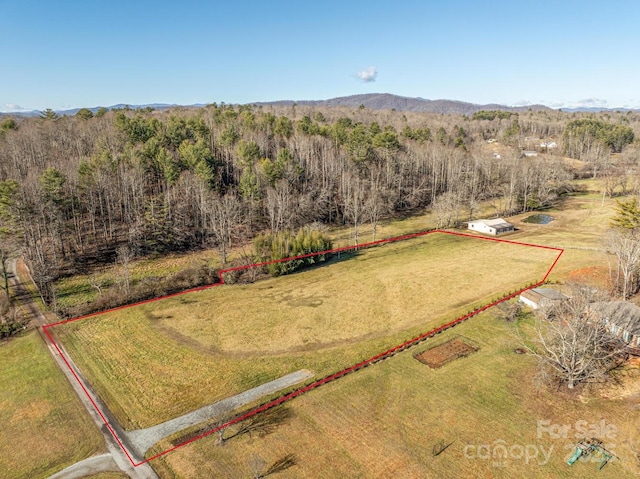 Listing photo 3 for 108 Horizon View Dr, Horse Shoe NC 28742