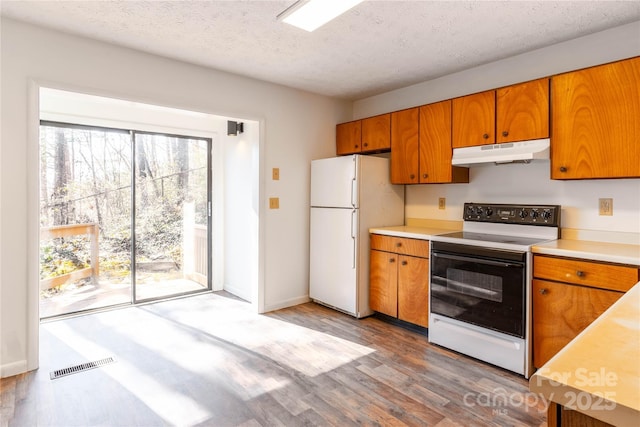 kitchen with range with electric stovetop, a wealth of natural light, white refrigerator, and light hardwood / wood-style flooring