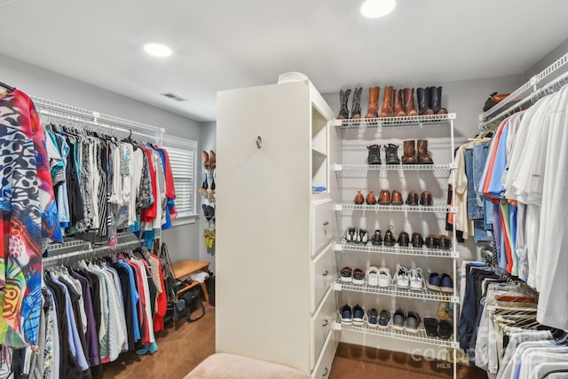 spacious closet with carpet flooring