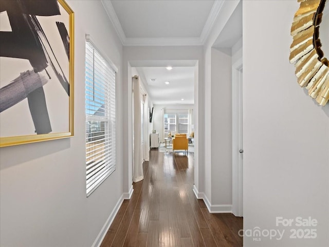 corridor featuring ornamental molding and dark hardwood / wood-style floors