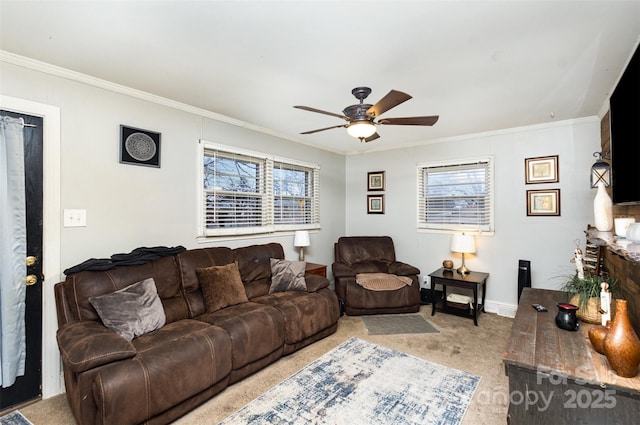 carpeted living room with ornamental molding, a wealth of natural light, and ceiling fan