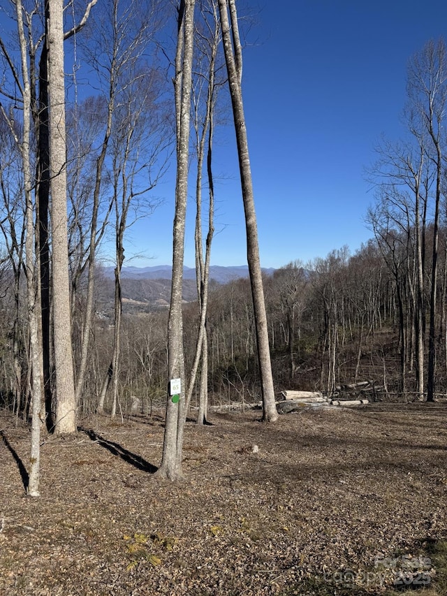 Listing photo 2 for 0000 W Garden Trl Lot 65, Hendersonville NC 28792