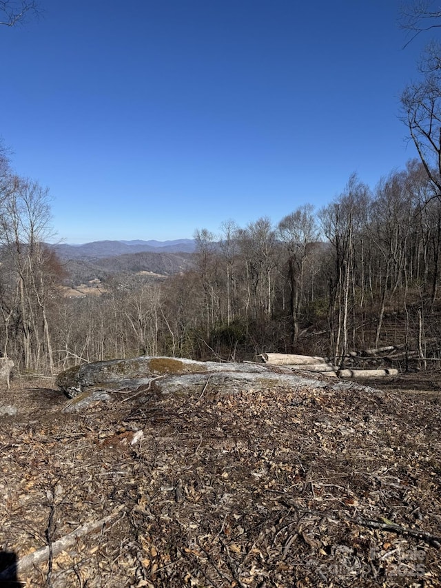 Listing photo 3 for 0000 W Garden Trl Lot 65, Hendersonville NC 28792