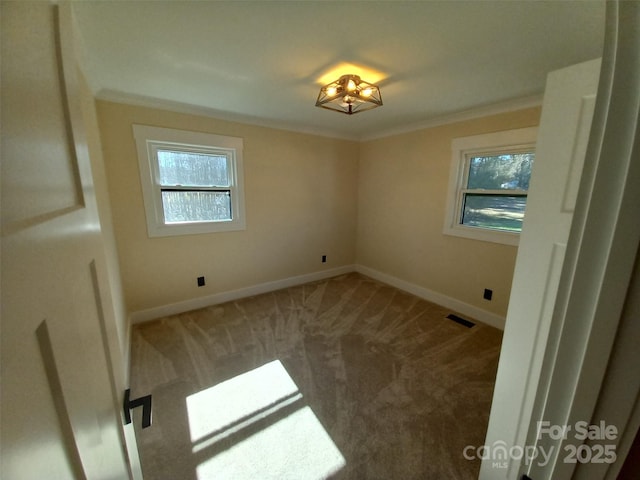 spare room featuring crown molding, carpet floors, and a healthy amount of sunlight