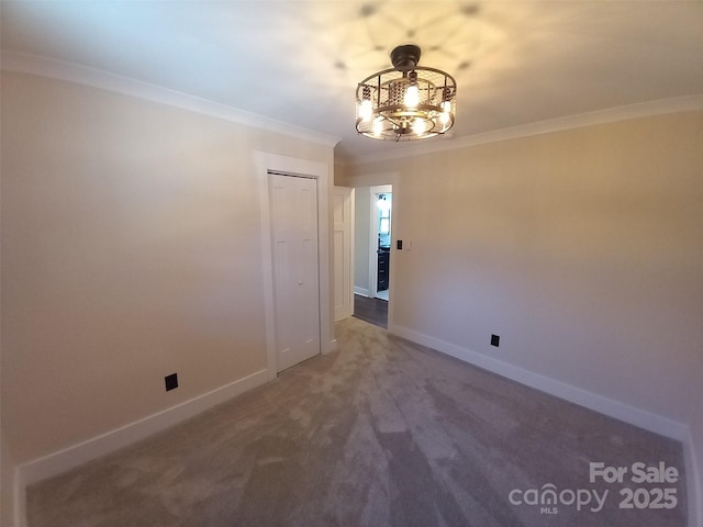 spare room with crown molding and carpet