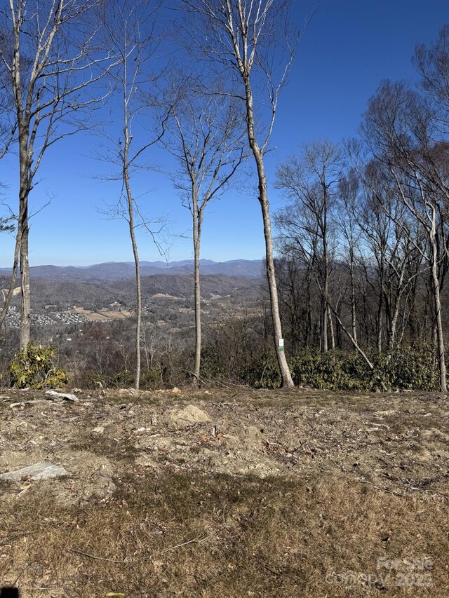 0000 W Garden Trl Lot 67, Hendersonville, NC 28792 - photo 6