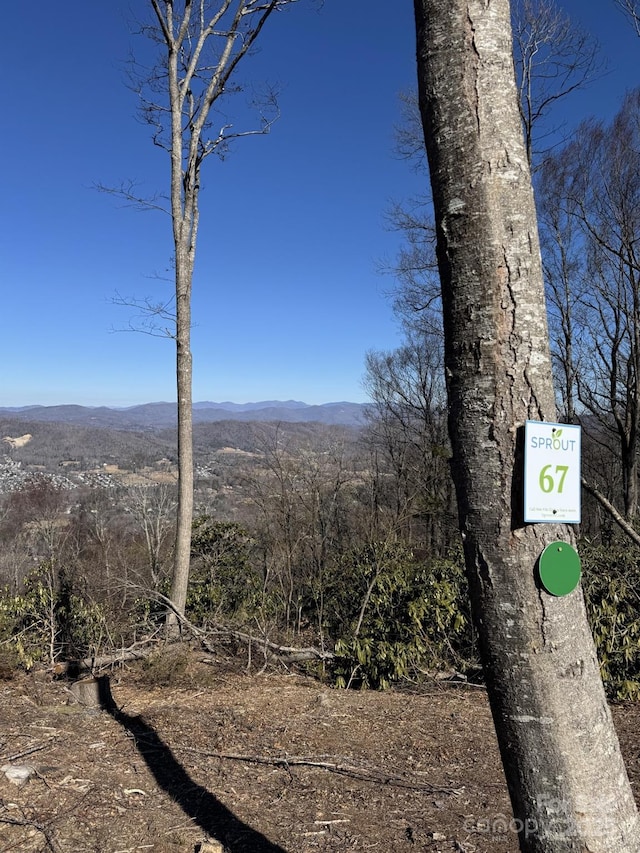 0000 W Garden Trl Lot 67, Hendersonville, NC 28792 - photo 7
