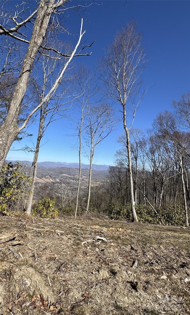 0000 W Garden Trl Lot 67, Hendersonville, NC 28792 - photo 8