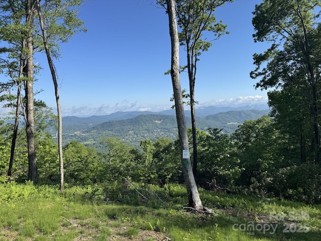0000 W Garden Trl Lot 67, Hendersonville, NC 28792 - photo 1