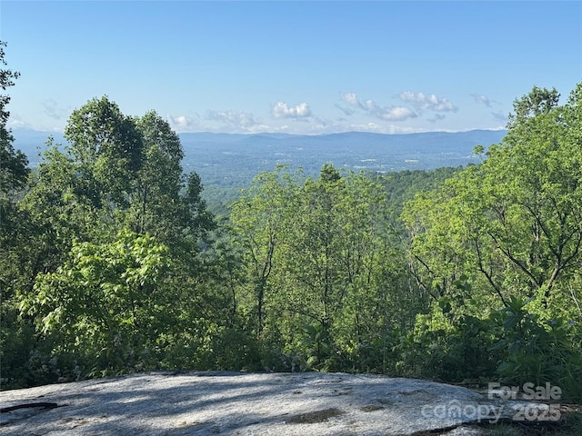 0000 W Garden Trl Lot 70, Hendersonville, NC 28792 - photo 1