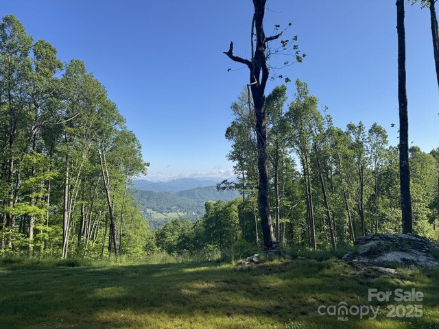 0000 W Garden Trl Lot 70, Hendersonville, NC 28792 - photo 2
