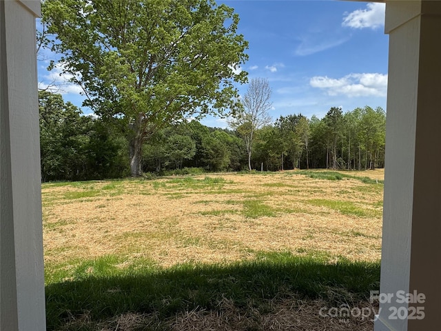 view of yard featuring a forest view