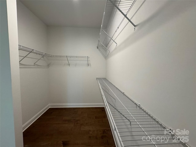 walk in closet with wood finished floors