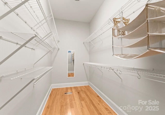 walk in closet featuring hardwood / wood-style floors