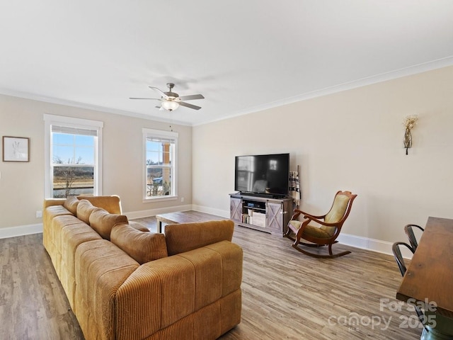 living room featuring crown molding, ceiling fan, and light wood-type flooring