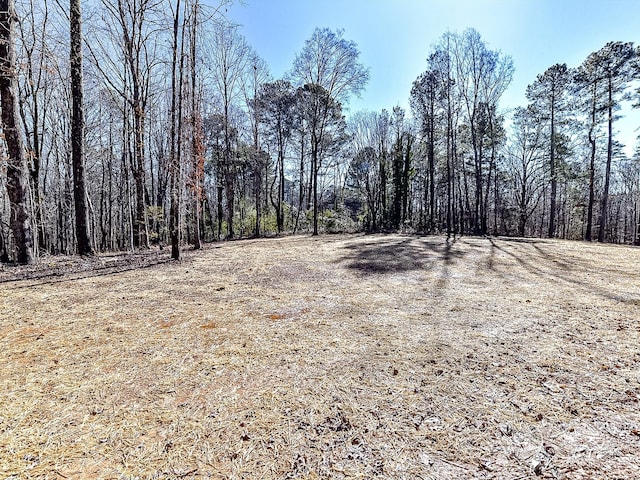 view of local wilderness