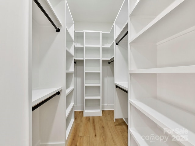 walk in closet with light hardwood / wood-style floors