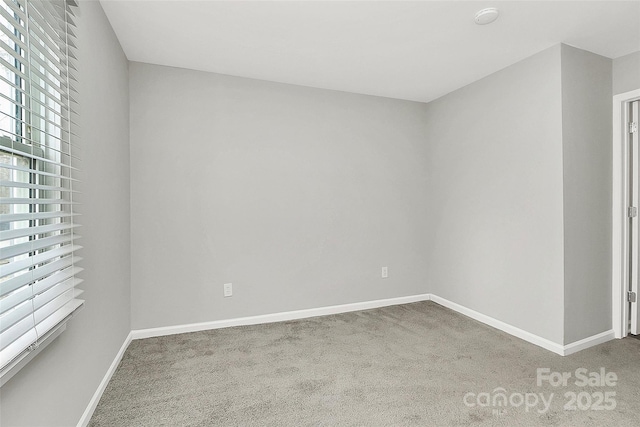 carpeted empty room with a wealth of natural light and baseboards